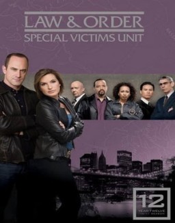 Ley y orden: Unidad de Víctimas Especiales temporada  12 online